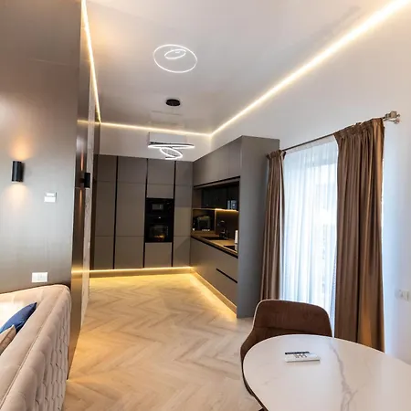 Tampa View Luxury Jacuzzi 公寓 布拉索夫